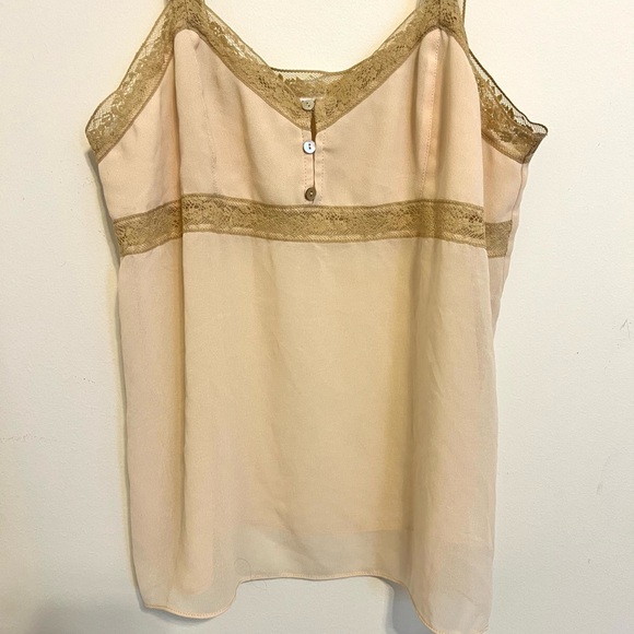 2/$25 Zara - Cream Camisole Tank Top with Tan Lace Trim - Picture 4 of 6